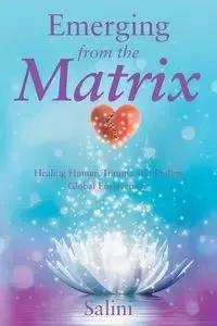 Emerging From the Matrix - Salini