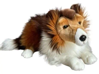 Owczarek szkocki 61cm - Dubi