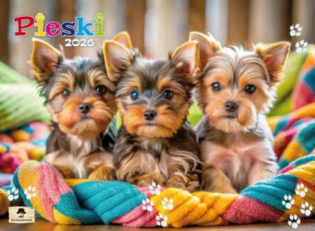 Kalendarz 2026 ścienny albumowy pieski - Pan Kalendarzyk