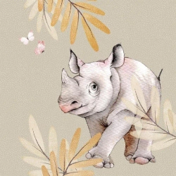 Karnet Swarovski kwadrat CL4710 Nosorożec - Clear Creations