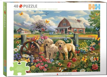 Puzzle 48 Puppy Spring by Shawna Steward 6748-6021 - Eurographics