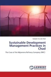 Sustainable Development Management Practices in Chad - Succès Noël Satadjim