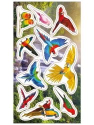 Naklejki Papugi - Ranok-Creative