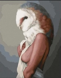 Malowanie po numerach - Kobieta Sowa 40x50 cm - Twoje Hobby