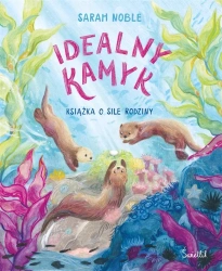 Idealny kamyk. Książka o sile rodziny - Sarah Noble, Sarah Noble, Natalia Galuchowska