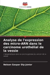 Analyse de l'expression des micro-ARN dans le carcinome urothélial de la vessie - Nelson Gaspar Dip Júnior