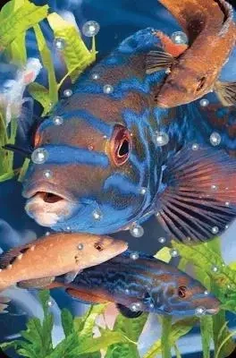 Mini kartka 3D Wargacz Tęczak - Worth Keeping