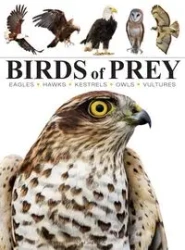 Birds of Prey - Jackson Tom