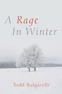 A Rage in Winter - Todd Bulgarelli Null