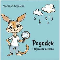 Pogodek i tajemnice deszczu - Monika Chojnicka
