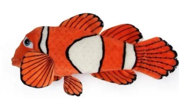 Ryba błazenek 45cm - Dubi