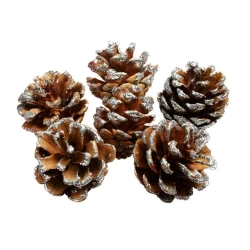 Szyszki dekorowane brokatem 6 szt. - Arpex