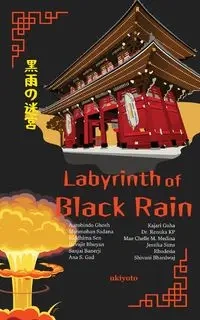 Labyrinth of Black Rain - Aurobindo Ghosh