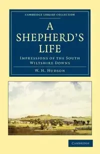 A Shepherd's Life - William Henry Hudson
