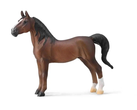 American Saddlebred Stallion Liver kasztanowy - Collecta