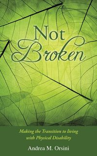 Not Broken - Orsini Andrea M.