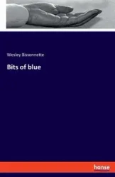 Bits of blue - Wesley Bissonnette