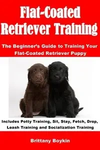 Flat-Coated Retriever Training - Brittany Boykin