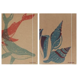 Teczka z gumką A4 Eco Sea mix - STARPAK