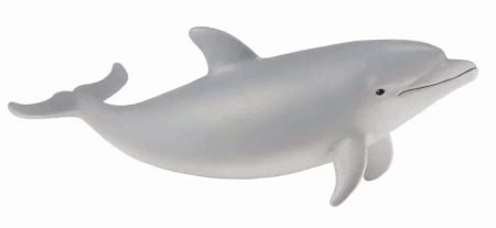 Delfin butlonosy młody - Collecta