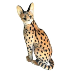 Serwal 49cm - Dubi