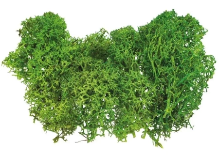 Mech sztuczny jasnozielony 10g - Brewis