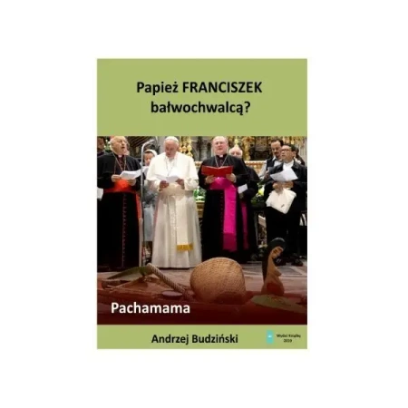 Papież Franciszek bałwochwalcą - ANDRZEJ BUDZIŃSKI