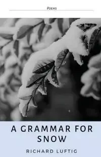 A Grammar for Snow - Richard Luftig