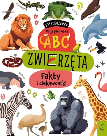 Książkożercy. Moje pierwsze ABC. Zwierzęta... - praca zbiorowa