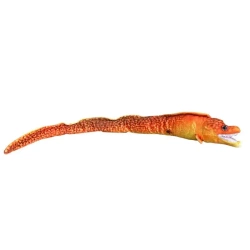 Murena pomarańczowa 80cm - Dubi