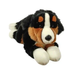 Pies Berneński 30cm - Dubi