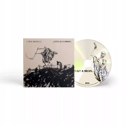 Life Is But a Dream..., CD