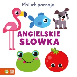 Maluch poznaje. Angielskie słówka - opracowanie zbiorowe