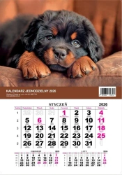 Kalendarz 2026 jednodzielny Pies - O-press