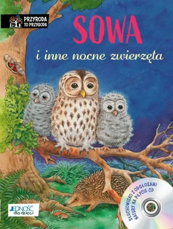 Sowa i inne nocne zwierzęta - Friederun Reichenstetter, Hans-Gnther Dring, Magd