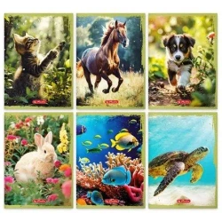 Zeszyt A5/16K linia podwójna Animals (20szt) - HERLITZ