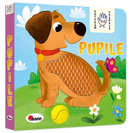 Pupile. Dotykam poznaję - Elżbieta Korolkiewicz