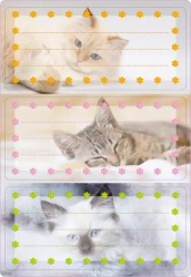 Naklejki szkolne - Kotki 6szt - Herma