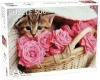 Puzzle Kitty, kitty 500 - Tactic
