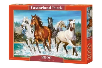Puzzle 2000 Call of Nature CASTOR - Castorland