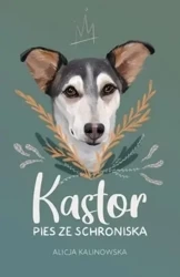 Kastor. Pies ze schroniska - Alicja Kalinowska