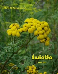 eBook Światła. Nowele - Maria Rodziewiczówna epub mobi