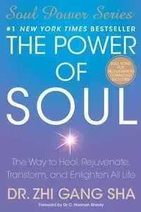 POWER OF SOUL - SHA ZHI