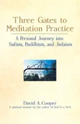 Three Gates to Meditation Practices - David A. Cooper Rabbi