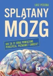 Splątany mózg. Jak są ze sobą powiązane percepcja. - Luiz Pessoa