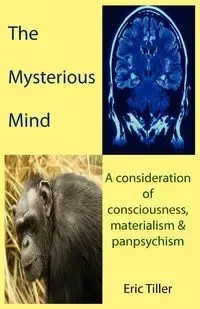 The Mysterious Mind - Eric Tiller