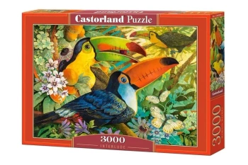 Puzzle 3000 Interlude CASTOR - Castorland