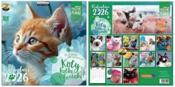 Kalendarz 2026 ścienny Classic Koty - Kukartka