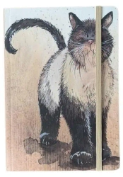 Notatnik z gumką A5 LCN08 Kot Coco - Alex Clark