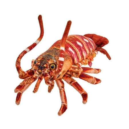 Homar 33cm - Beppe